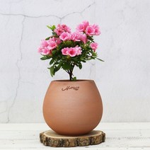 마마스스튜디오 오리지널빈티지 에그팟 수제 토분