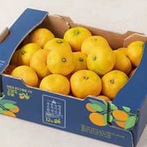중문농협 프리미엄 황제감귤, 2kg(2S~M), 1박스