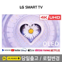 LG 55인치 4K 올레드 스마트 UHD TV OLED55C1 빠른설치, 4. 지방권지역 벽걸이 설치 요청