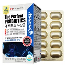 타이거아울렛 퍼펙트 100억 포스트바이오틱스 60캡슐 x 1박스 2개월분 캐나다 신바이오틱스 프롤린 모유 유래 프로 프리 복합 500억 투입 유산균, 단품, 단품