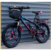 초등학생자전거 어린이 퀄리티 가벼운 접이식 선물 주니어 고학년 MTV자전거 초등생, 티타늄 실버 20인치 7단