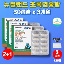코스트코 초록입 그린 홍합 오일 초롱잎 초롱이 푸른 홍합 추출물 GREENLIPPED 운동 뼈 고관절 무릎 30대 40대 50대 60대 70대 노인 남성 남자 영양제, 3박스