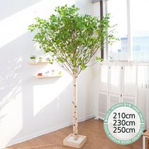 실내인테리어 인조나무 123종 / 플트 조화나무 C, C05.기본Y자형 자작나무 230cmK/사방형