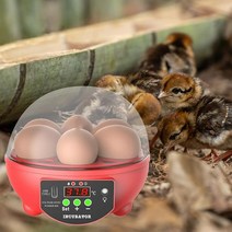 기러기 오리알 병아리 부화기 계란 부하기 계란 인큐베이터 부화장 부화기 저렴한 가격 브루더 치킨 자동, 01 As Picture_01 EU