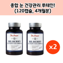 미국 직수입 빌베리 추출물 루테인 비타민 A 눈 영양제 1000mg 60캡슐, 2박스(4개월분)