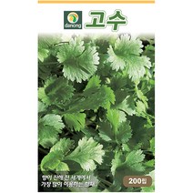 다농 질경이 5g - 씨 씨앗 질경이씨앗 질경이씨 차전초 길장구 배부장이 배합조개 나물씨앗 민속채소 채소씨 채소씨앗, 01_다농_고수(200립)