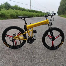 차량수납가능 출퇴근 전기자전가 대용량 초경량 야외레저용 교체가능 배터리, 금