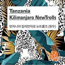 [UMB][레베떼커피] 탄자니아 킬리만자로 뉴트롤즈 원두커피 / 홀빈 / 1kg
