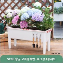 킹마이크로 플라스틱 항균 고각종채반+후크삽 4종세트 수경재배 베란다 직사각 하이풋 종채 야채 식재용, 단품