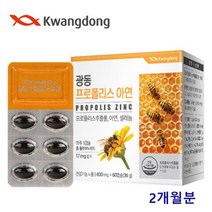 프로폴리스 플라보노이드 아연 면역 항산화 구강건강 코건강 어린이 청소년 직장인 효능, 60캡슐*1개