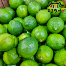 고군명가 썬키스트 라임 50과 4.2kg 중과, 1개