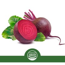 비가열 저온착즙 제주 레드비트즙 HACCP 생과착즙 100% 비트 원액 친환경 박스 냉장포장 출고, 프리미엄 비트즙 80ml 50팩