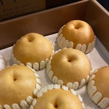 22년 수확 햇 나주배 선물세트 GAP인증 고당도 신고배, 선물용 5kg(8~10과)