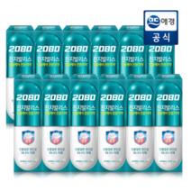 2080 진지발리스 허벌민트 치약, 140g, 12개