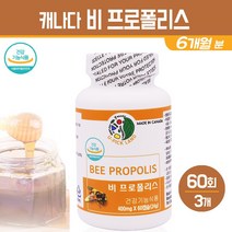 캐나다 프로폴리스 분말 캡슐 비프로폴리스 추출물 알약 고함량 플라보노이드 BEE PROPOLIS 청소년 수험생 남성 여성 부모님 항산화 영양제 식약처기능성 인정 건강기능식품, 3통, 프로폴리스 분말캡슐 60회