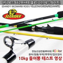 씨호크 662B 댄디로드 선상바다 베이트 루어낚시대 광어참돔우럭쭈꾸미갑오징어, 화이트
