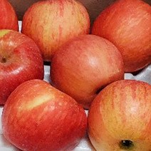 햇사과 사과유명한곳 경북 영천사과 사과한박스 부사 사과직거래, 1박스, 4kg