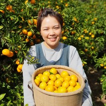 과일꾼 제주 노지 감귤 산지직송 햇 귤 3kg 5kg 10kg, 1box, 제주 감귤 5kg(2S)