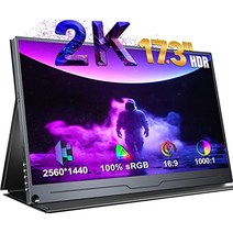 EVICIV 2K 휴대용 모니터 17.3인치 휴대용 모니터 Full HD IPS 모바일 모니터(보호 케이스 포함) HDMI Type-C USB OTG for Laptop PC MAC Phone Xbox PS4 -15151, 13.3인치