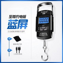 고정밀 휴대용 전자 스프링 저울 가정용 소형 수하물 무게측정 후크 낚시 저울 계근대, 충전식  블루