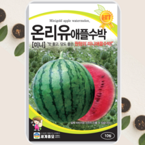 애플수박 씨앗 온리유 미니수박 종자 10립, 1봉