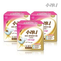 수려니 와이드 매직테이프 대형 10매 성인용 기저귀, 10개입, 1개