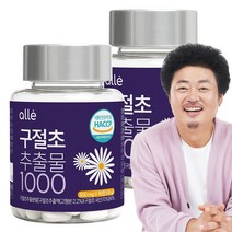 알레 구절초 추출물 1000 90정, 2통