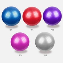 필라테스 요가 임산부 짐볼 허리운동 발란스볼 맛사지볼 헬스볼 짐볼운동 건강용품, LW보급형짐볼세트 55-레드