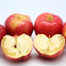 청송 부사 흠집 못난이 가정용 사과 2kg 3kg 5kg 10kg, 한입(50-55과)