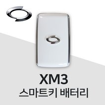 XM3 스마트키 건전지 차키 배터리 밧데리 약, 5개