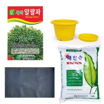 토경새싹재배세트 5종 재배세트 텃밭키우기, 토경새싹재배세트5종(새싹알팔파)