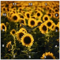 3dRose DPP_210046_1 프랑스 바클루스 해바라기 필드 벽시계 25 4 x cm 미국직송