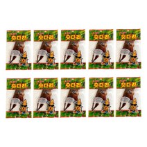 한양식품 오징어 숏다리 20g 10봉, 오징어숏다리 20g 10봉