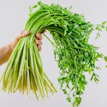 경북 무농약 하우스미나리 500g 1kg, 1개