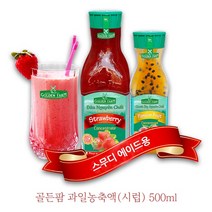 골든팜 과일 농축액 과일농축 시럽 각종음식과 우유와 스무디용 500ml, 패션후르츠, 1개