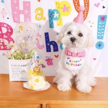 생일상 파티용품 강아지생일파티용품 강아지생일상 애견생일파티, 옵션1-핑크, 고깔단품