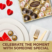 Ferrero Collection 프리미엄 고메 모듬 선물 상자 9.1온스 24개입 헤이즐넛 밀크 초콜릿 & 다크 초콜릿 & 코코넛 포함