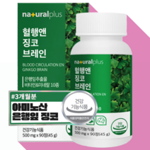 플러스 혈행 앤 징코 브레인 폴라보놀 배당체 권장량 함유 기억력 혈행 개선 도움 정