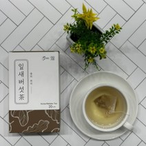 머쉬온 잎새버섯차 20티백 티백차 약용버섯차, 상세페이지 참조, 상세페이지 참조, 상세페이지 참조, 상세페이지 참조