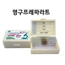 암석박편-퇴적암 4매 MST-0056