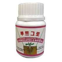 루트그로 100ml 고추묘 삽목 루팅 뿌리발근제 스트레스경감