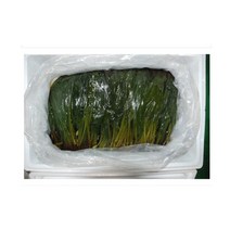 울릉도 국산 절임 명이나물 장아치 절임나물 밑반찬 200g 1kg, 명이김치 150g