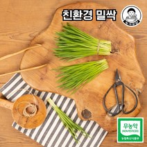 [농사임당] 친환경 무농약 밀싹/밀순 250g/500g, 250g, 1개