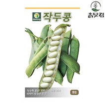 작두콩 씨앗 5립 다수확품종 조경소재 가능 초세 강함 + 네임택, 단품