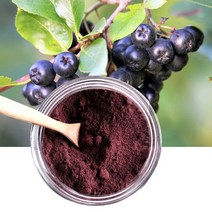 국산 블랙초코베리 아로니아 가루 분말500g, 500g, 상세페이지 참조2