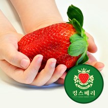 알뜰하게 선택하는 딸기크기 추천