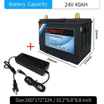 카트 골프 전기 3발 2인 바이크12V 24V 48V 60V LiFePO4 리튬 철 인산염 배터리 BMS 80 100 120 240 320Ah, 24V 40Ah