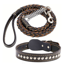 퍼피가드 중형견 대형견 목줄+리드줄 세트, 블랙