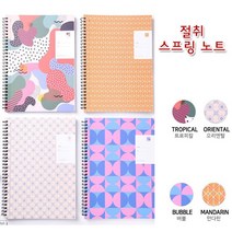 에스케이상사 레인보우B5 스프링 절취노트 2500