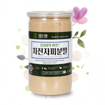 (짱스)차전자피분말 400g 정든팜 뉴밀폐통 질경이씨앗껍질, 상세페이지 참조, 상세페이지 참조